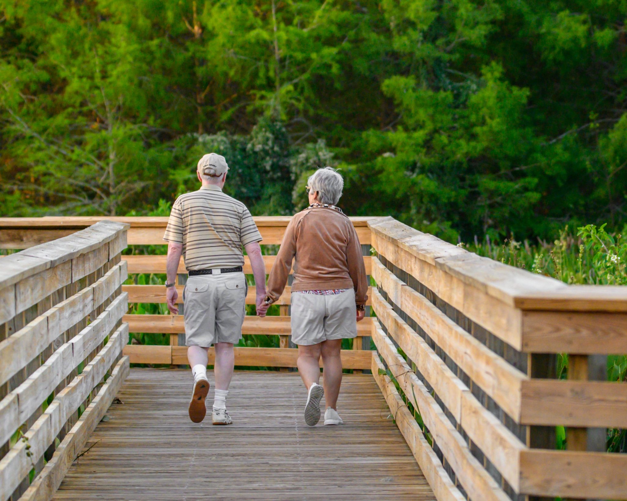 senior health and wellness is important as you age. Walking is excellent for overall health