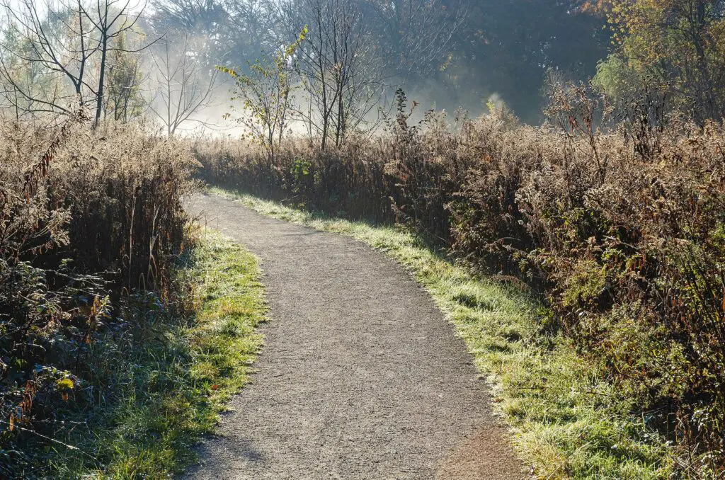walking trail