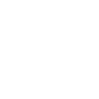 instagram-icon