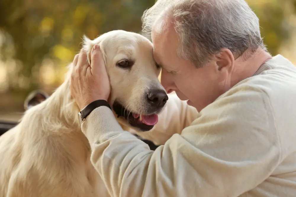 Seniors and pets