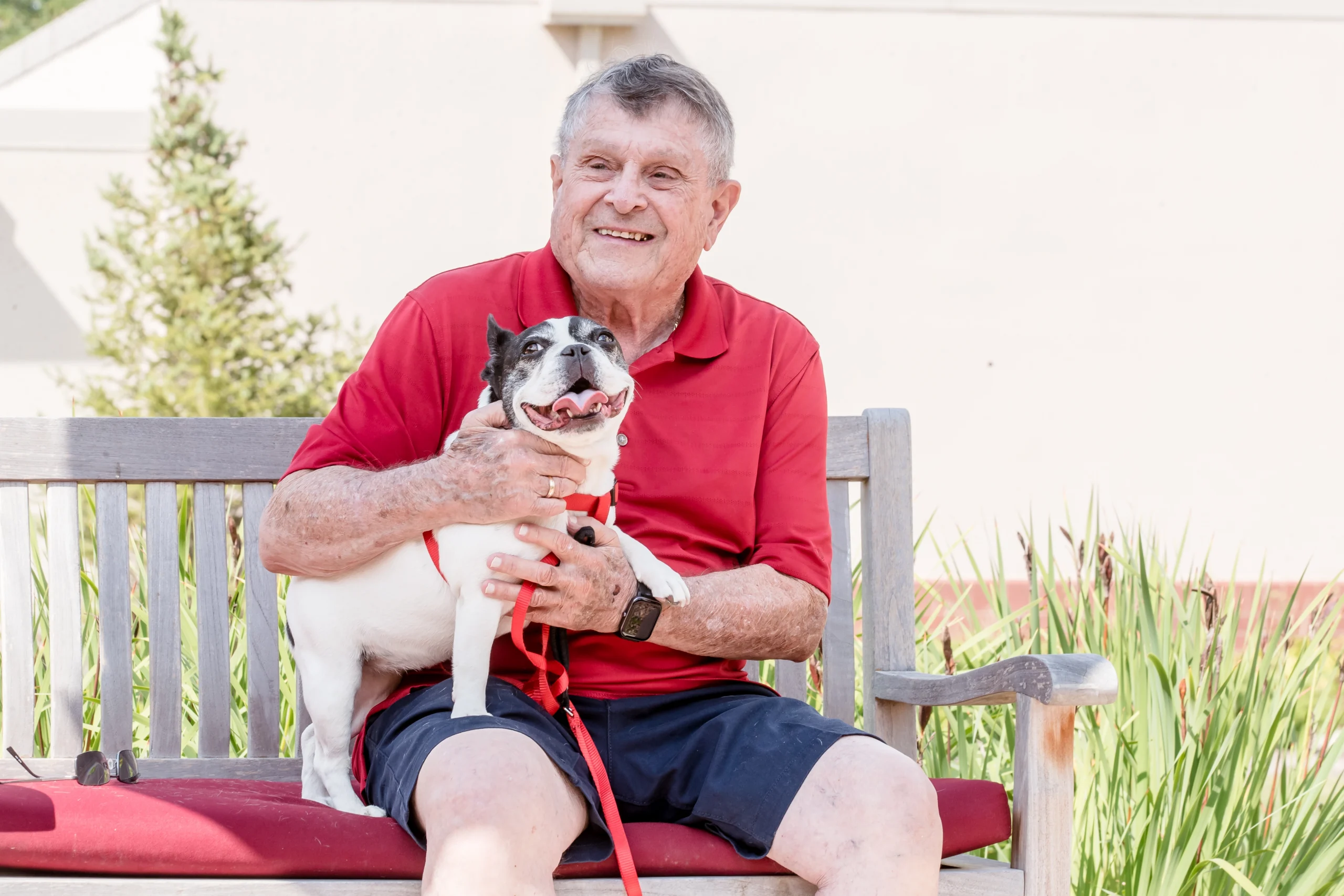 A solo ager with his dog, exploring rightsizing for seniors in Wheaton, IL