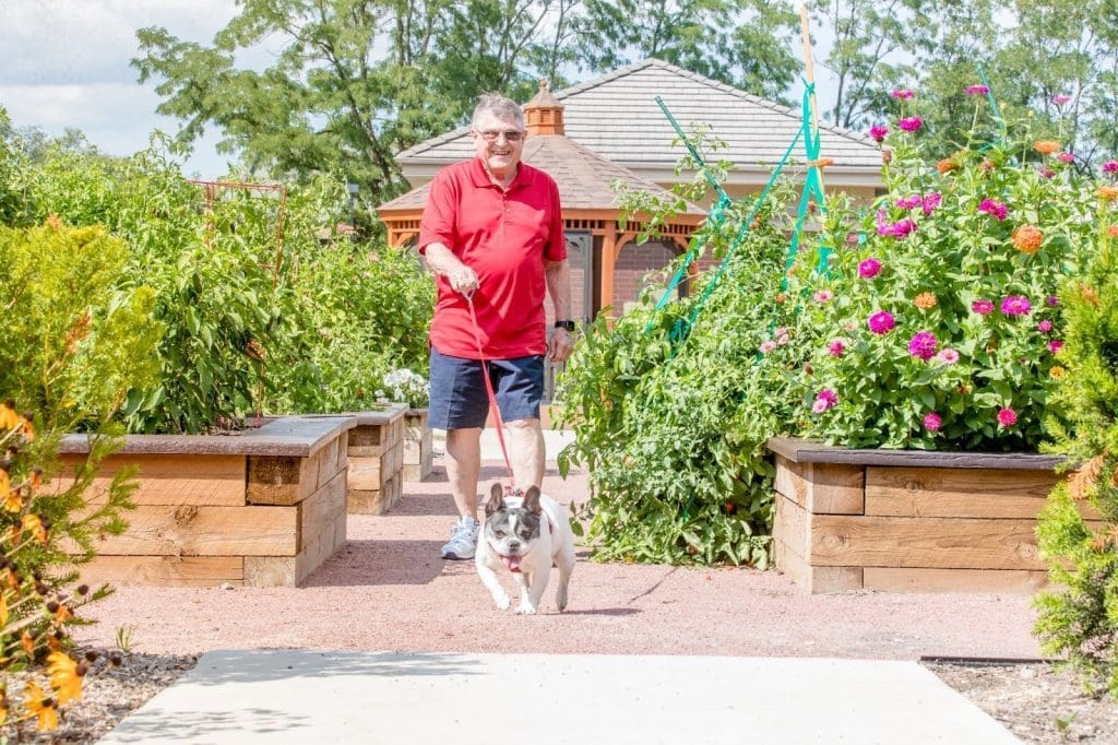 Senior man walking his dog 